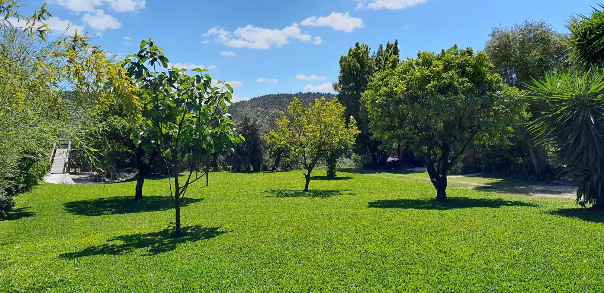 Quinta Do Benjamim - Tejo "Experience For 2, Family Or Relax" Villa Praia do Ribatejo Exterior photo